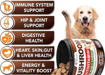 Mushroom for Dogs 170 Chews Turkey Tail Mushroom for Dogs Lions Mane Reishi