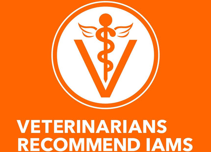 Proactive Health Adult Healthy Dry Cat Food with Real Salmon, 7 Lb. Bag