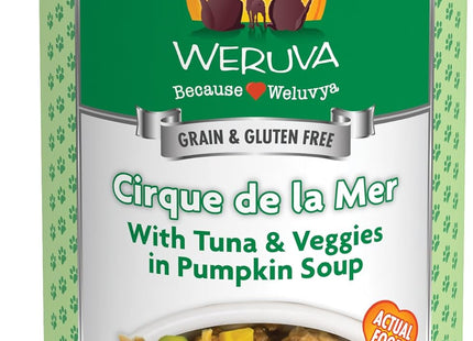 Classic Dog Food, Funky Chunky Chicken Soup with Chicken Breast & Pumpkin in Gravy, 14Oz Can (Pack of 12)