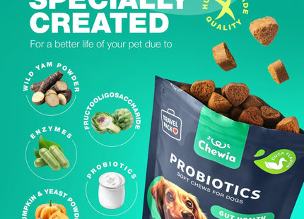 Probiotics for Dogs Support Gut Health Immunity Yeast Balance Itchy Skin