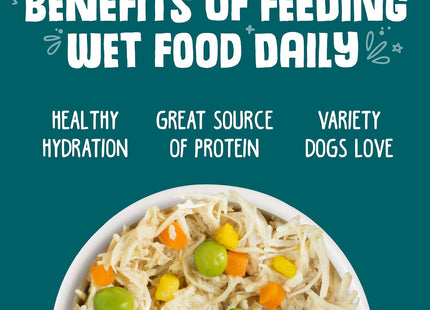 Classic Dog Food, Funky Chunky Chicken Soup with Chicken Breast & Pumpkin in Gravy, 14Oz Can (Pack of 12)