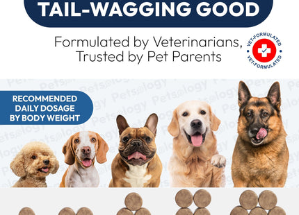 Probiotics for Dogs 170 Chews Dog Digestive Enzymes Prebiotics Support Gut