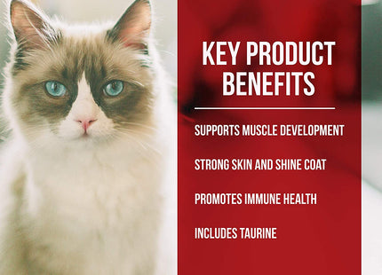 Market Fresh Chicken & Turkey Meal Formula Grain-Free Dry Cat Food 10Lb