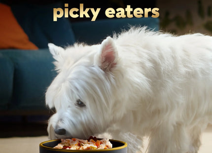Simply Crafted Wet Dog Food Variety Pack, 1.3 Oz Tubs (16 Pack)