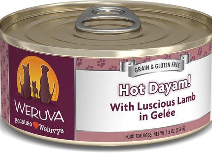 Classic Dog Food, Funky Chunky Chicken Soup with Chicken Breast & Pumpkin in Gravy, 14Oz Can (Pack of 12)