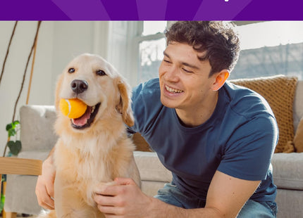 Rewarding Life Dog Treats, Training Treat, Grain Free, Soft Chicken & Lamb (6 Ounce Bag)