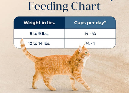 Basics Grain-Free Dry Cat Food, Skin & Stomach Care, Limited Ingredient Diet for Indoor Cats, Turkey & Potato Recipe, 11-Lb. Bag