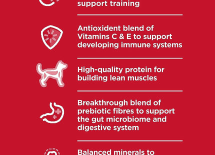 Dry Dog Food, Puppy, Small Bites, Chicken Meal & Barley Recipe, 15.5 Lb. Bag