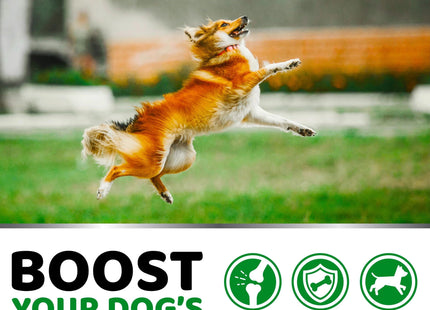 Glucosamine for Dogs Hip and Joint Supplement for Dogs 170 Chews Pain Relief