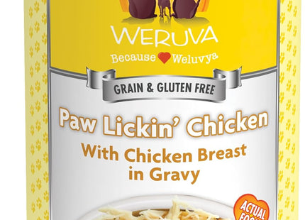 Classic Dog Food, Funky Chunky Chicken Soup with Chicken Breast & Pumpkin in Gravy, 14Oz Can (Pack of 12)