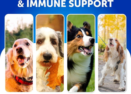 Dog Probiotics Duck Flavor Probiotics for Dogs Gut Health Itchy Skin Allergies & Immunity Support Yeast Balance Dog Probiotic 70 Chews with Prebiotics Dog Probiotics and Digestive Enzymes Reduce Diarrhea