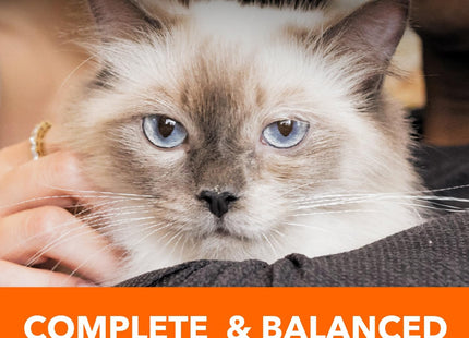 Proactive Health Adult Urinary Tract Healthy Dry Cat Food with Chicken, 16 Lb. Bag