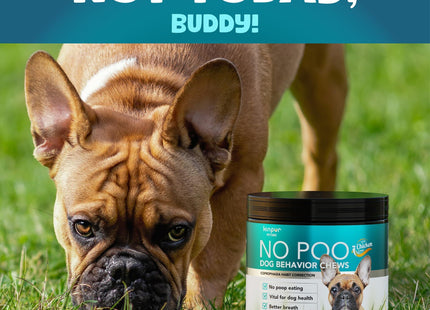 No Poo Chews for Dogs Stop Poop Eating Behavior Probiotics and Digestive
