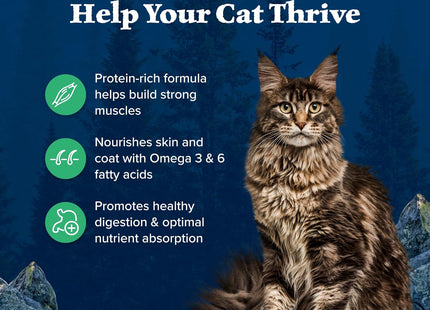 Blue Buffalo Wilderness Healthy Adult Dry Cat Food, Supports Health and Wellness, High-Protein & Grain-Free, Duck, 11-Lb Bag