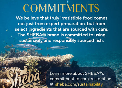 Perfect Portions Wet Cat Food Pate with Sustainable Salmon, Signature Seafood Entree, and Tender Whitefish and Tuna Entree Variety Pack, 2.6 Oz. Twin Pack Trays (24 Count, 48 Servings)