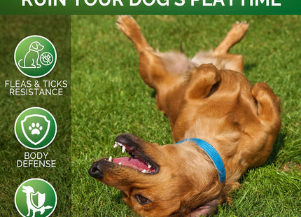 Flea and Tick Prevention for Dogs Chewables All Natural Dog Flea & Tick Control Flea and Tick Chews for Dogs Oral Flea Pills for Dogs Supplement All Breeds and Ages Made in USA 120 Tablets