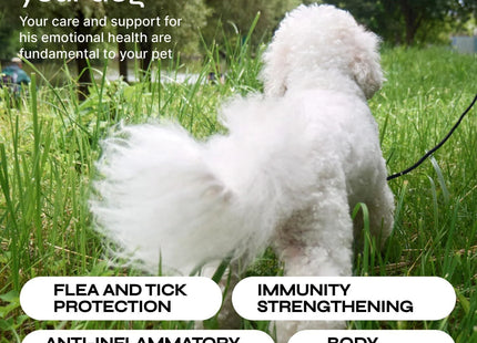 Flea and Tick Prevention for Dogs Dog Flea Treatment Chews Immune Support Flea and Tick Chewables for Dogs Dog Flea & Tick Control Supplement All Breeds & Ages Vet Formulated Soft Treats