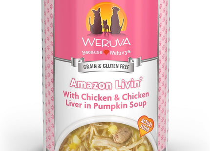 Classic Dog Food, Funky Chunky Chicken Soup with Chicken Breast & Pumpkin in Gravy, 14Oz Can (Pack of 12)
