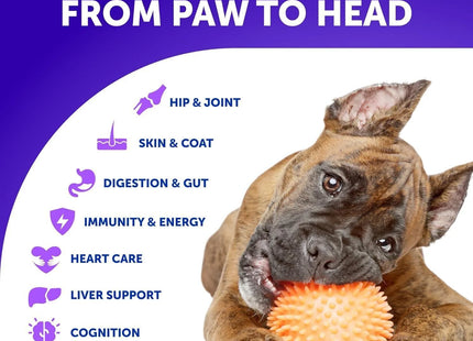 20 in 1 Dog Multivitamin with Glucosamine Chewable Dog Vitamins and Supplements Senior & Puppy Multivitamin Chews for Pet Hip & Joint Support Immunity Mobility Skin Digestion 70 Soft Treats