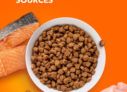 Proactive Health Adult Healthy Dry Cat Food with Real Salmon, 7 Lb. Bag