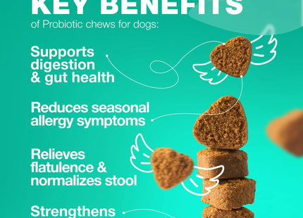 Probiotics for Dogs Support Gut Health Immunity Yeast Balance Itchy Skin