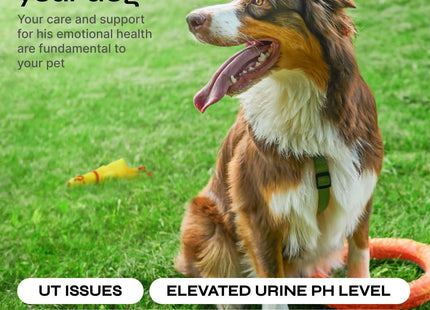 Dog Urine Neutralizer for Lawn Grass Burn Spot Chews Dog Pee Grass Spot Saver