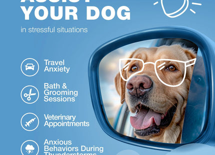 Hemp Calming Chews for Dogs Anxiety Relief for Dogs with L Theanine Chamomile