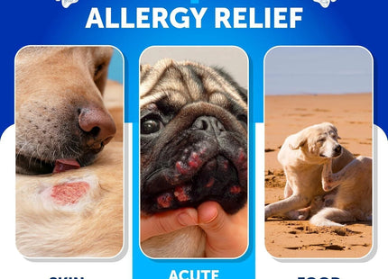 Dog Allergy Relief Chews Itching Skin Relief for Dogs Fish Oil Omega 3