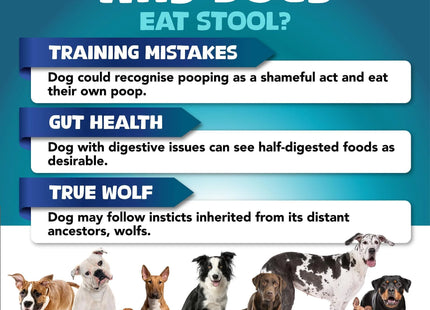 No Poo Chews for Dogs Stop Poop Eating Behavior Probiotics and Digestive