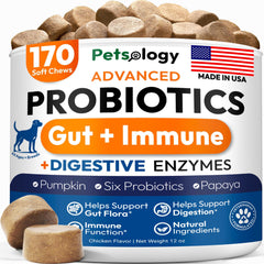 Probiotics for Dogs 170 Chews Dog Digestive Enzymes Prebiotics Support Gut