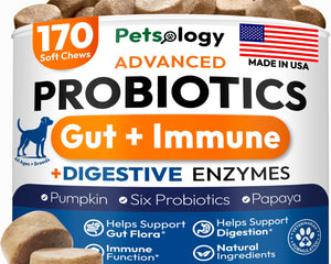 Probiotics for Dogs 170 Chews Dog Digestive Enzymes Prebiotics Support Gut