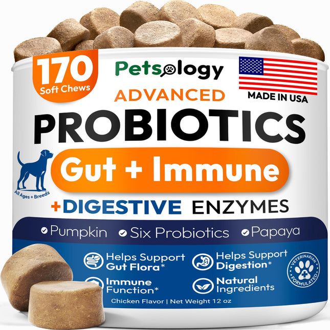 Probiotics for Dogs 170 Chews Dog Digestive Enzymes Prebiotics Support Gut