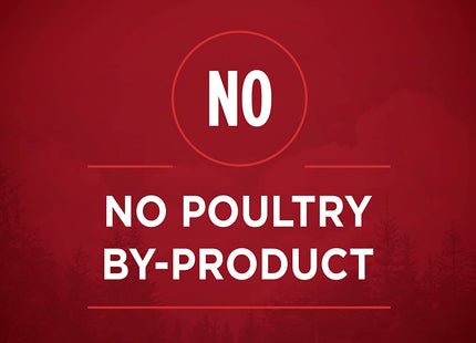 High Protein Wet Dog Food True Instinct Tender Cuts in Dog Food Gravy with Real Chicken and Duck - (Pack of 12) 13 Oz. Cans