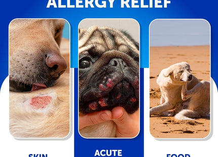 Dog Allergy Relief Chews Itching Skin Relief for Dogs Fish Oil Omega 3 Seasonal Allergies Pills Skin & Coat anti Itch Hot Spots Treatment Canine Immune Health Supplement 70 Soft Treats