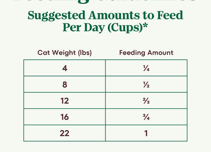 Wholesome Essentials Adult Dry Cat Food, Chicken & Brown Rice Recipe, 5 Lb. Bag