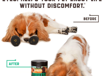 Natural Dog Allergy Chews with Omega Probiotics Apple Cider Vinegar 180 Chews