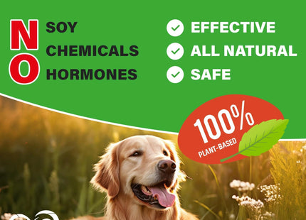 Dog Hip and Joint Supplement & Arthritis Pain Relief Treats Glucosamine Chondroitin MSM Soft Chews for Senior Dogs Natural Medicine & Support Mobility Turmeric Vitamins for Dysplasia USA