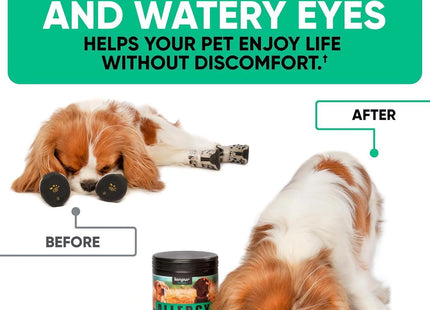 Natural Dog Allergy Chews for Dog Itch Tasty Allergy Relief Pet Supplement For