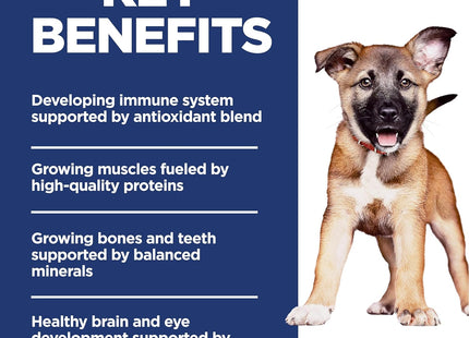 Large Breed Puppy Food, DHA to Support Healthy Development, Chicken & Brown Rice Dry Dog Food, 15.5 Lb. Bag