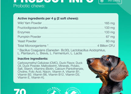 Probiotics for Dogs Support Gut Health Immunity Yeast Balance Itchy Skin