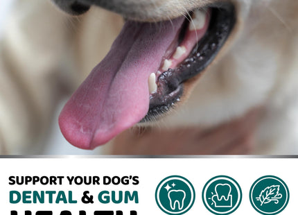 Dog Dental Powder Breath Freshener Dog Teeth Cleaning Powder Tartar and Plaque off Remover for Dogs Probiotics Multivitamin Blend Pet Oral Care Vitamins and Supplements All Breeds & Sizes