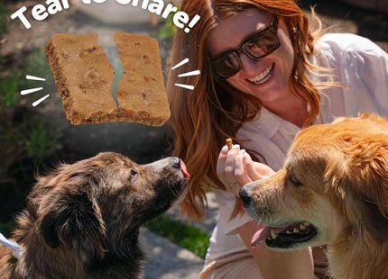 Rewarding Life Dog Treats, Training Treat, Grain Free, Soft Chicken & Lamb (6 Ounce Bag)