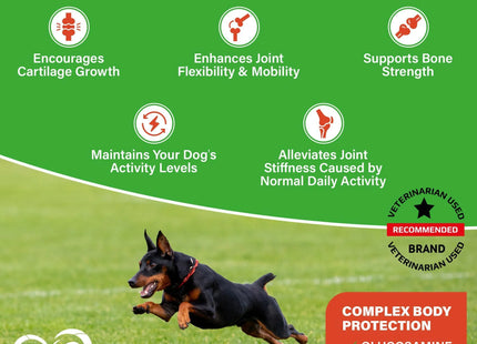 Dog Hip and Joint Supplement & Arthritis Pain Relief Treats Glucosamine Chondroitin MSM Soft Chews for Senior Dogs Natural Medicine & Support Mobility Turmeric Vitamins for Dysplasia USA