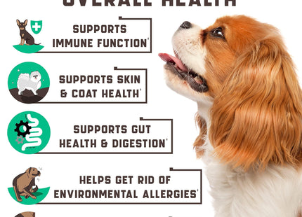 Natural Dog Allergy Chews with Omega Probiotics Apple Cider Vinegar 180 Chews