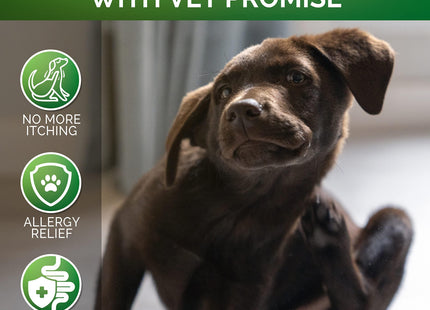 Dog Allergy Chews Itch Relief for Dogs Dog Allergy Relief anti Itch for Dogs Dog Itchy Skin Treatment Dog Allergy Support Hot Spots Immune Health Supplement Made in USA 120 Treats