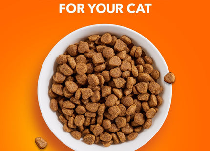 Proactive Health Adult Healthy Dry Cat Food with Chicken, 22 Lb. Bag