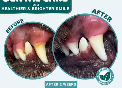 Dog Dental Powder Breath Freshener Dog Teeth Cleaning Powder Tartar and Plaque off Remover for Dogs Probiotics Multivitamin Blend Pet Oral Care Vitamins and Supplements All Breeds & Sizes