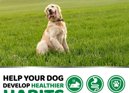 No Poo Chews for Dogs 170 Ct Coprophagia No Poop Eating Deterrent for Dogs Stop Eating Poop for Canine Probiotics & Digestive Enzymes Supplement Made in USA