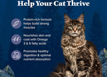 Wilderness Nature'S Evolutionary Diet High-Protein, Grain-Free Natural Dry Food for Adult Cats, Chicken, 6-Lb. Bag