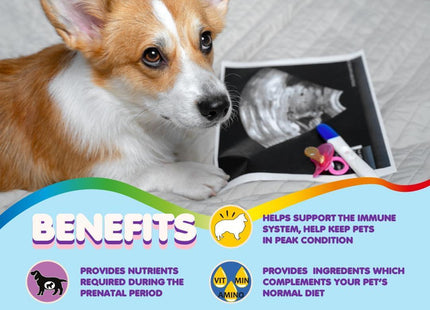 Prenatal Dog Vitamins 60 Pills for Dogs and Cats with Folic Acid Minerals And